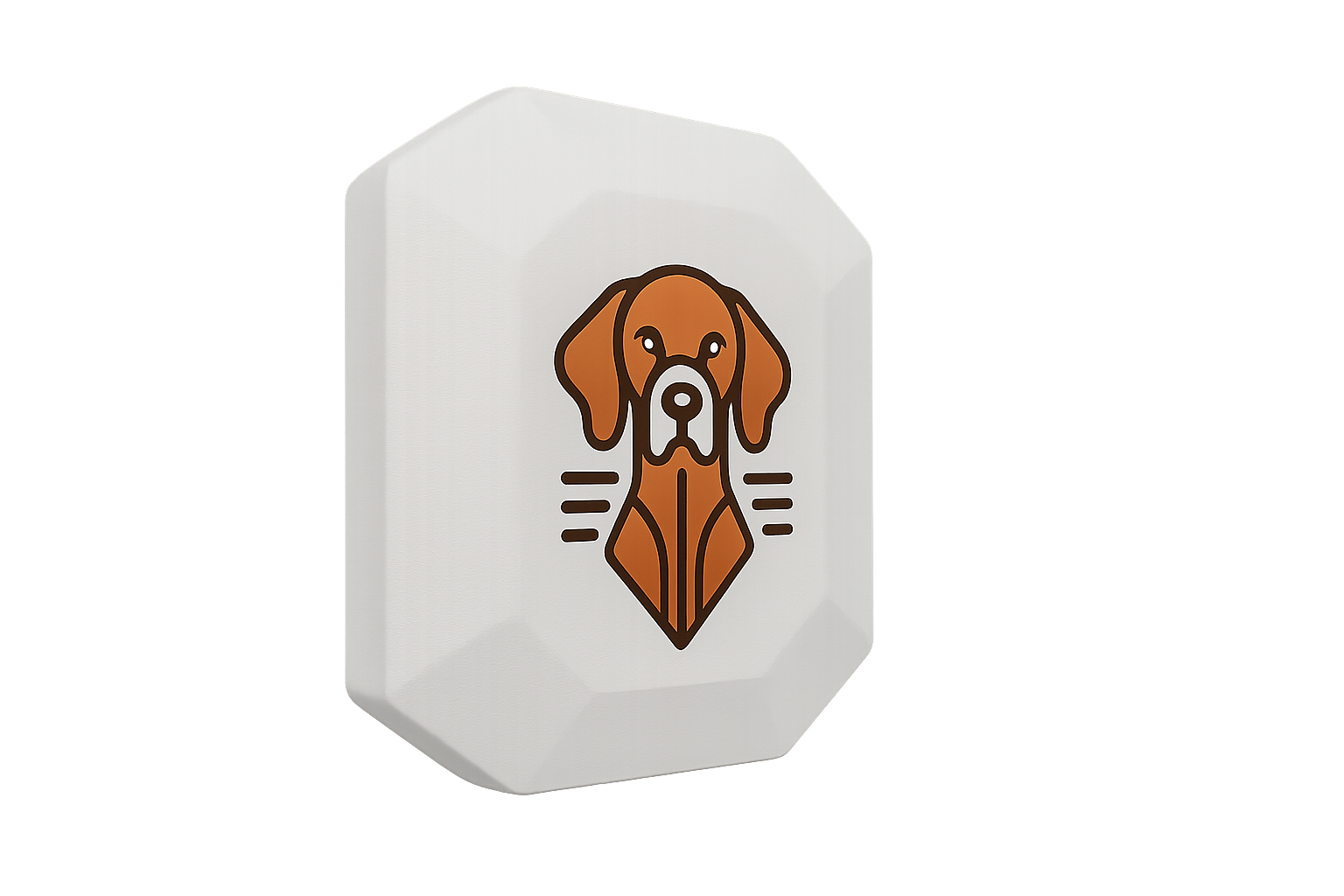 Render frontale del GPS